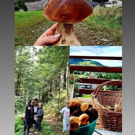 Gorczanska Z Tarasem Widokowym *